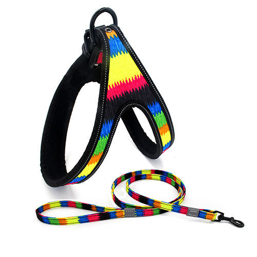 Geleideharnas en riem met patroon