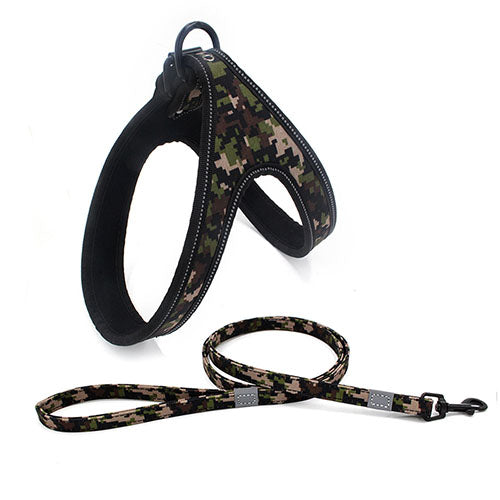 Geleideharnas en riem met patroon