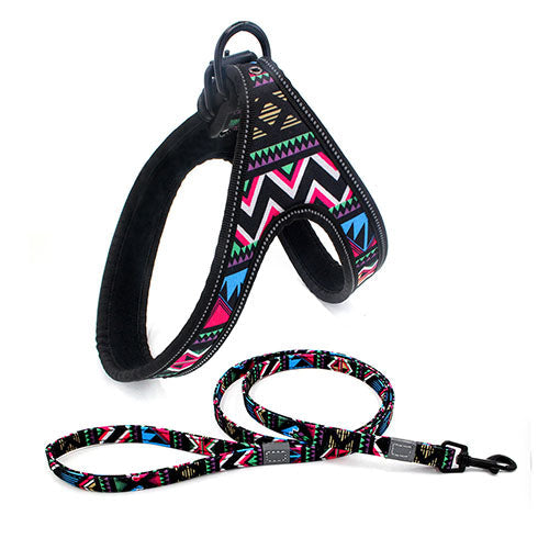 Geleideharnas en riem met patroon