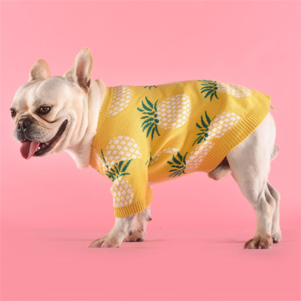 Gul Ananassweater