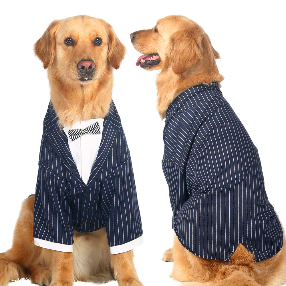 Fancy Dress : Pin Stripe Suit and Bowtie