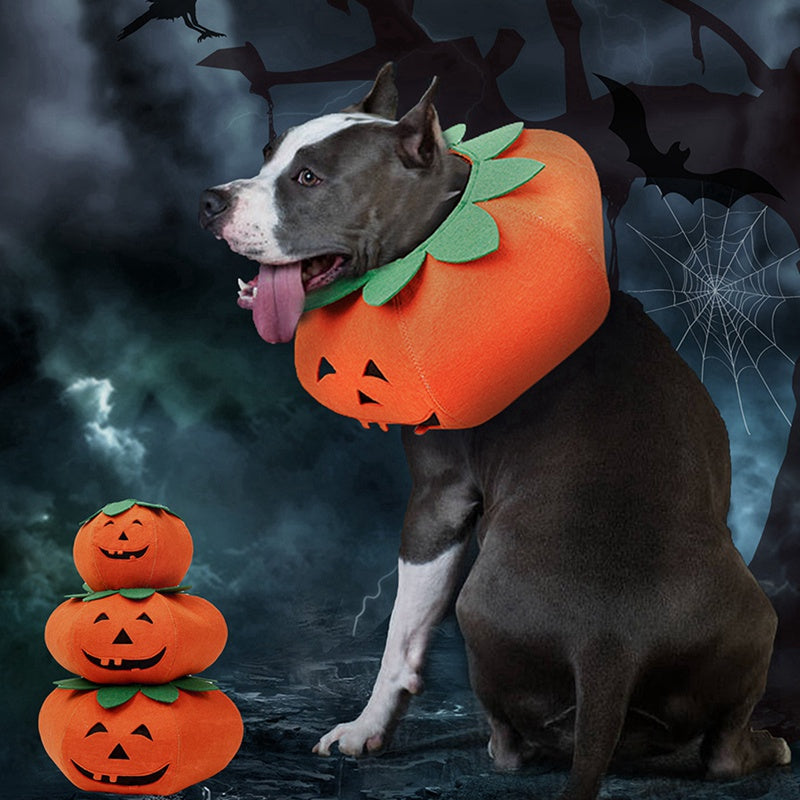 Fancy Dress : Pumpkin