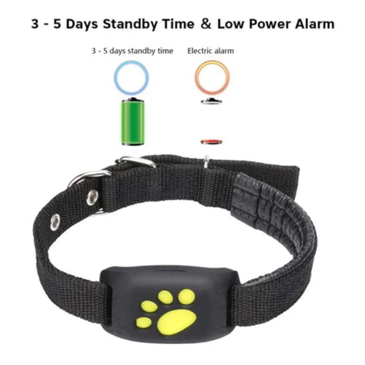 Intelligentes GPS-Tracker-Halsband für Katzen
