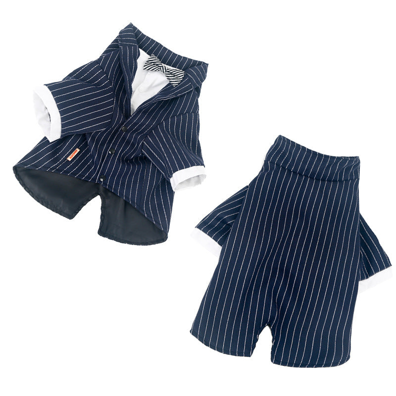 Fancy Dress : Pin Stripe Suit and Bowtie