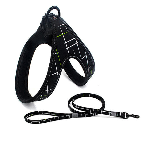 Geleideharnas en riem met patroon