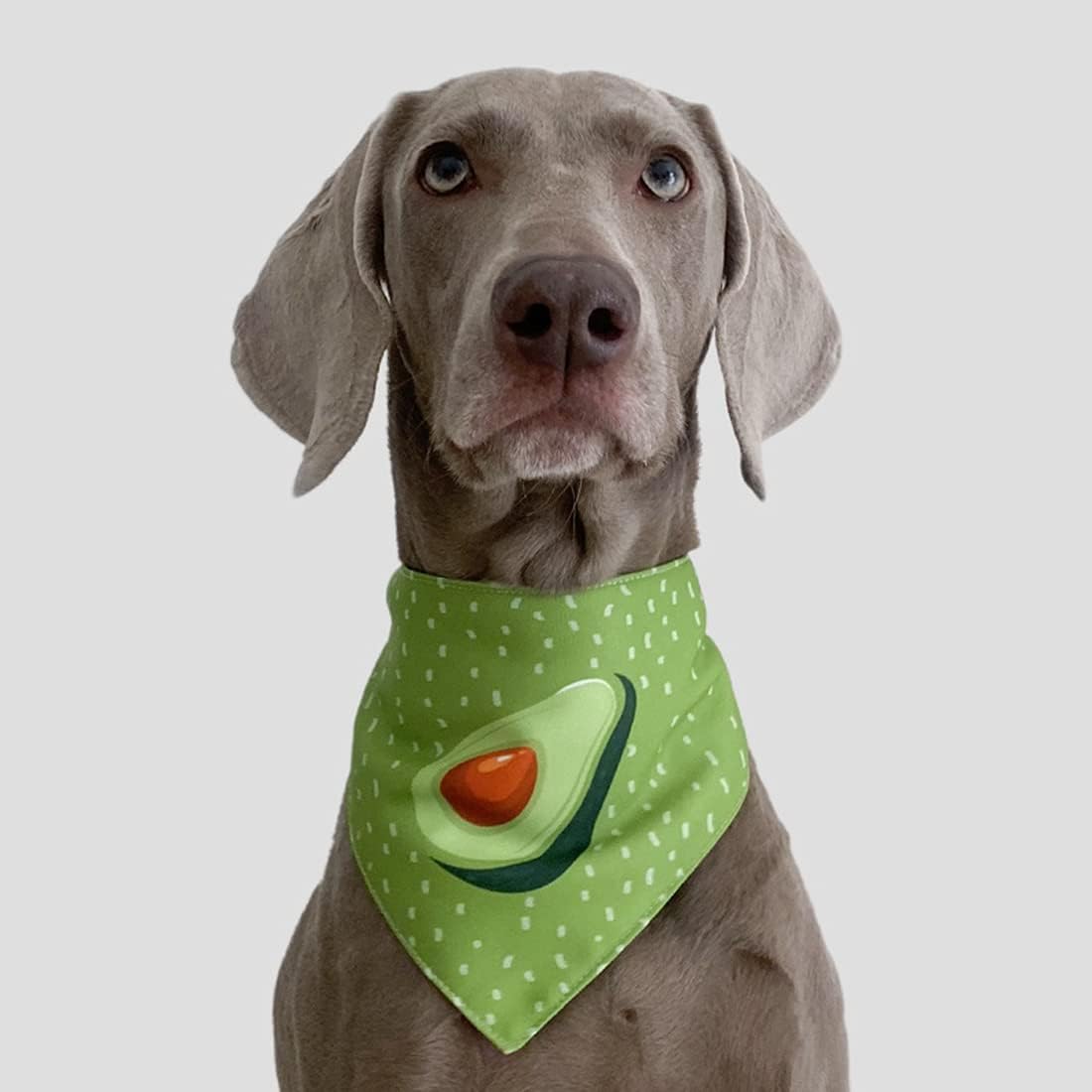Avocado Sjaal