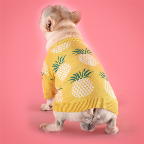 Gul Ananassweater