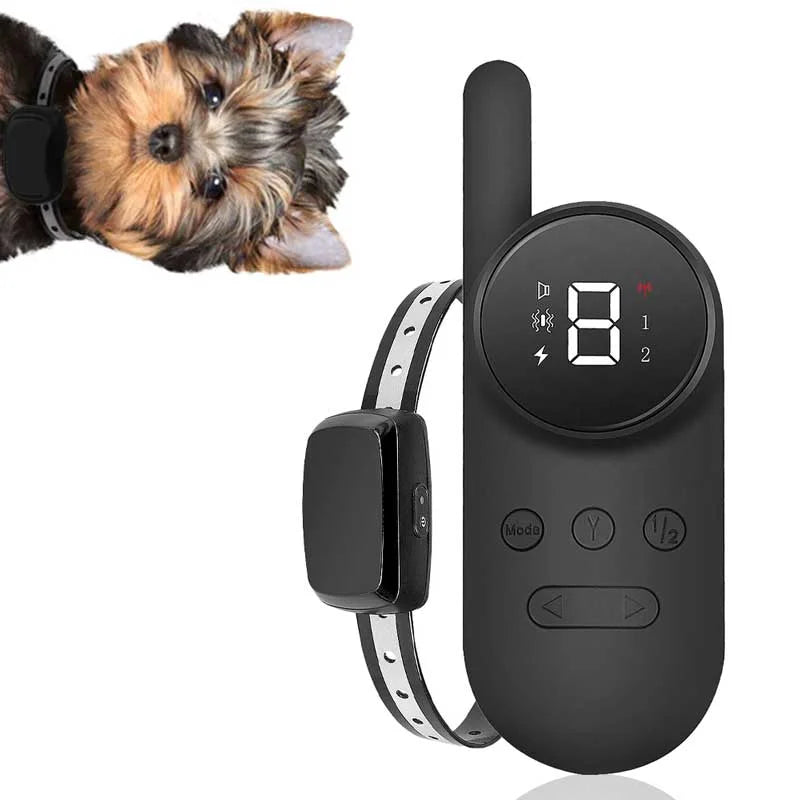 Beste trainingshalsband voor kleine honden