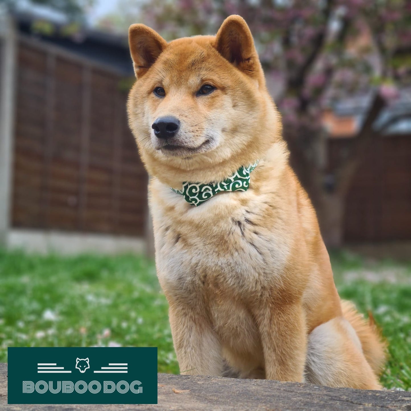 Wavy Bowtie and Collar
