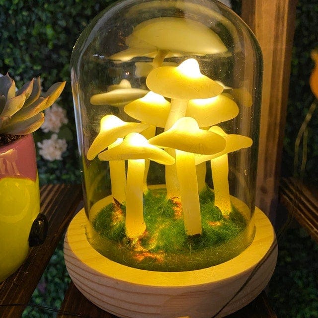 Doe-het-zelf paddenstoelen in bossen licht