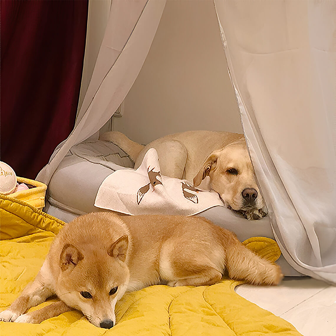 Hondendeken in Bladvorm met Donut Hondenbed Luxe Hondengeschenken
