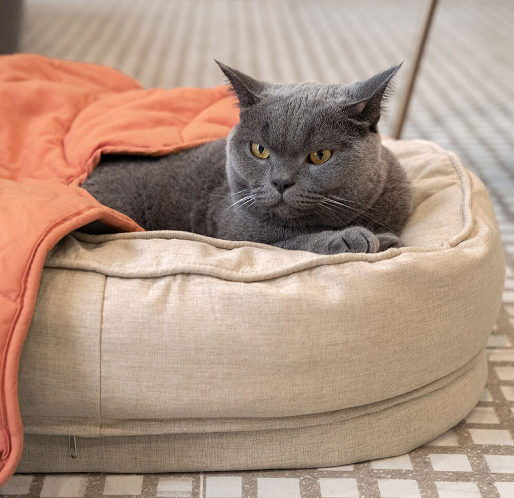 Hondendeken in Bladvorm met Donut Hondenbed Luxe Hondengeschenken