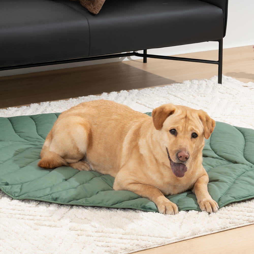 Bladvorm Mens Mat Hond Deken