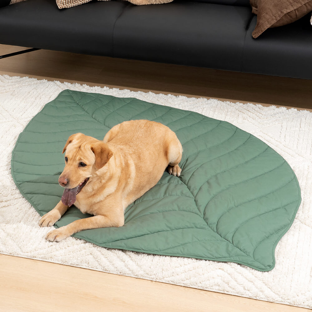 Bladvorm Mens Mat Hond Deken