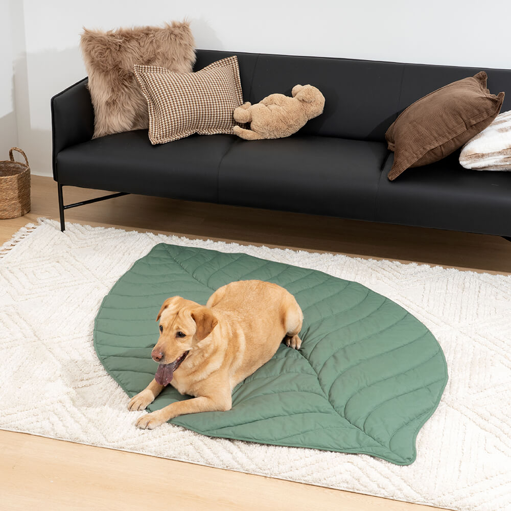 Bladvorm Mens Mat Hond Deken