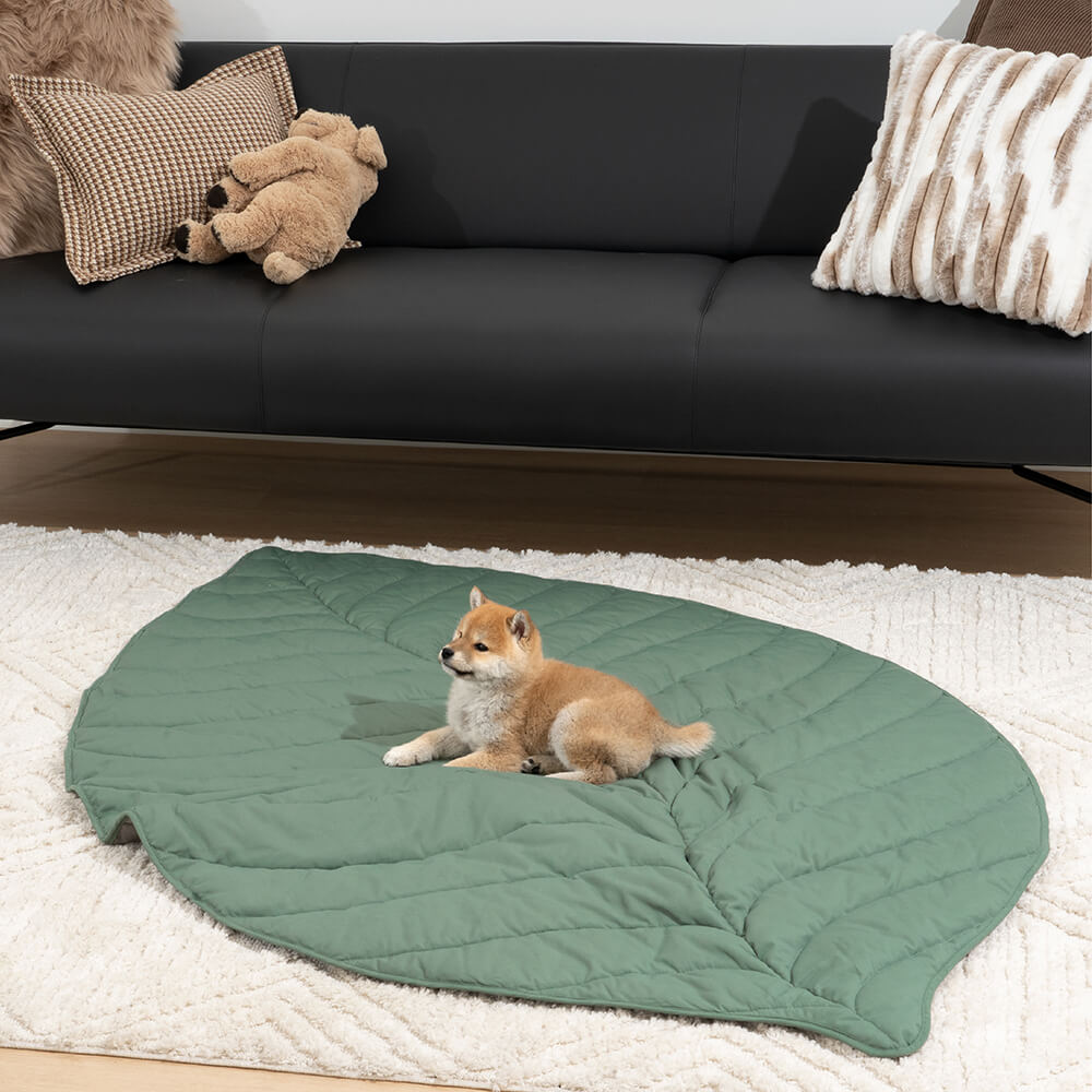 Bladvorm Mens Mat Hond Deken