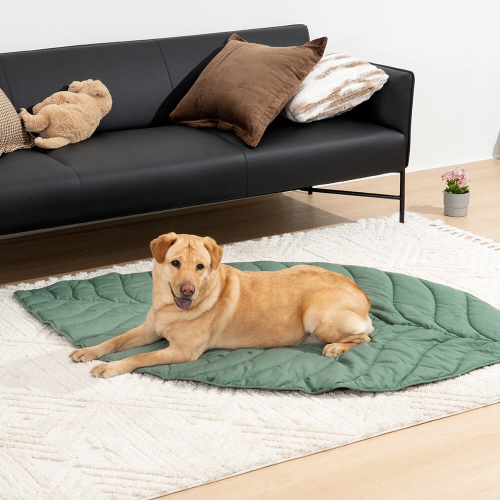 Bladvorm Mens Mat Hond Deken