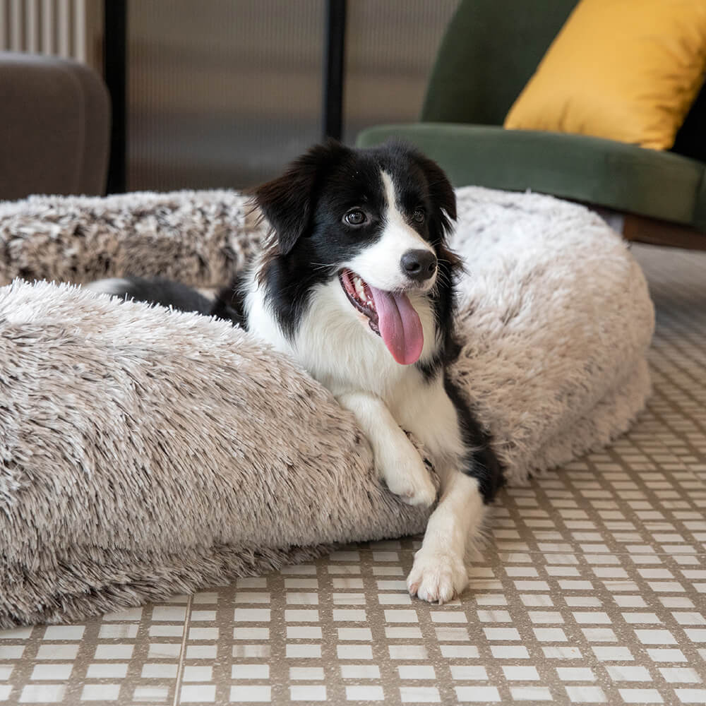 Luxe Super Groot Dieper Slapen Ovaal Bed Mens Hond Bed