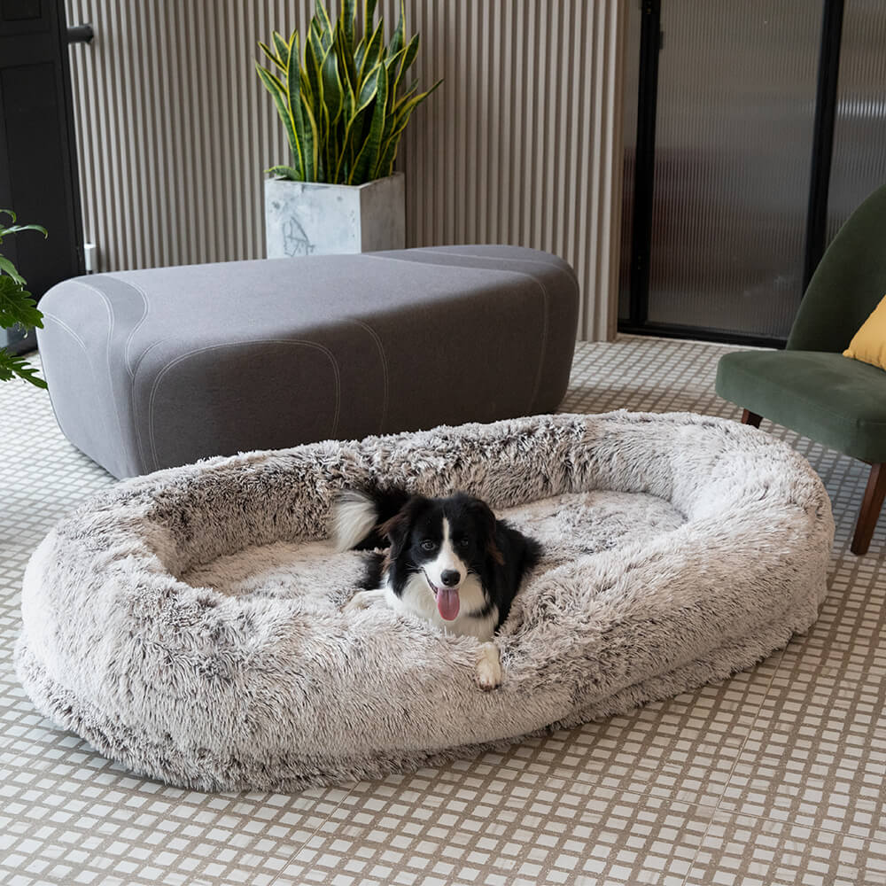 Luxe Super Groot Dieper Slapen Ovaal Bed Mens Hond Bed