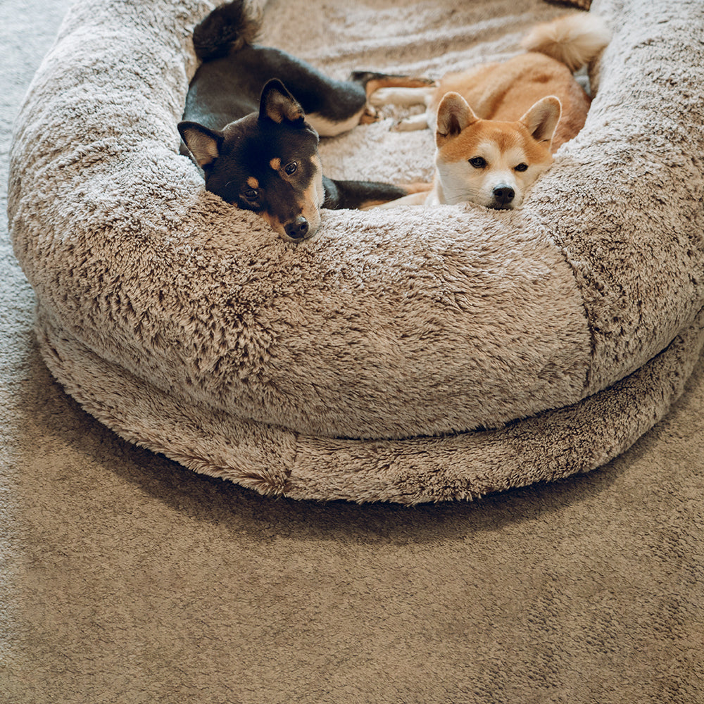 Luxe Super Groot Dieper Slapen Ovaal Bed Mens Hond Bed