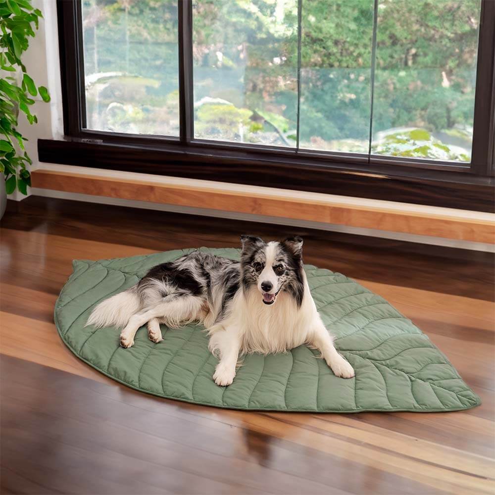 Bladvorm Mens Mat Hond Deken