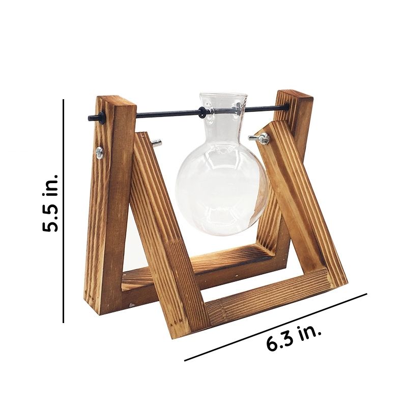 Glas hydroponisk plantevase