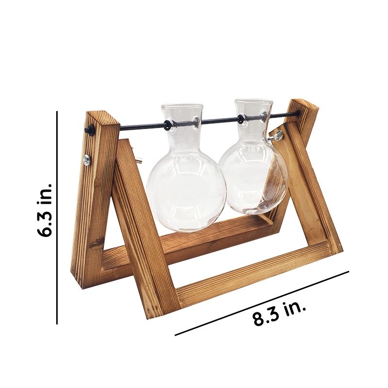 Glas hydroponisk plantevase