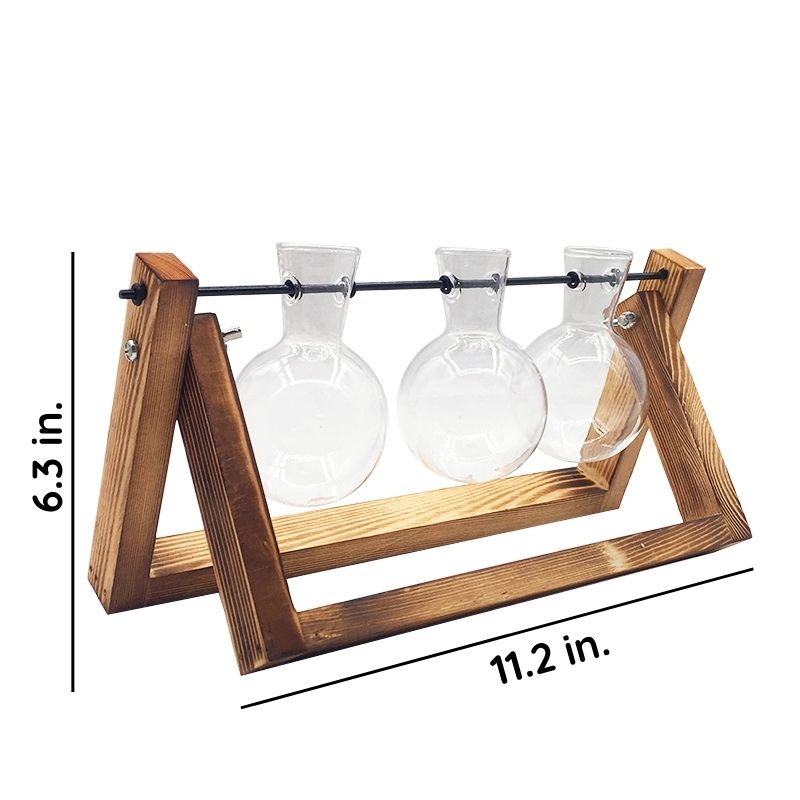 Glas hydroponisk plantevase
