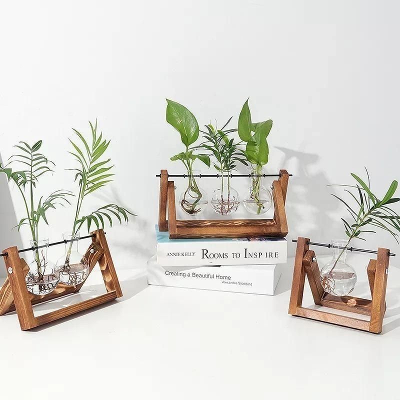 Glas hydroponisk plantevase
