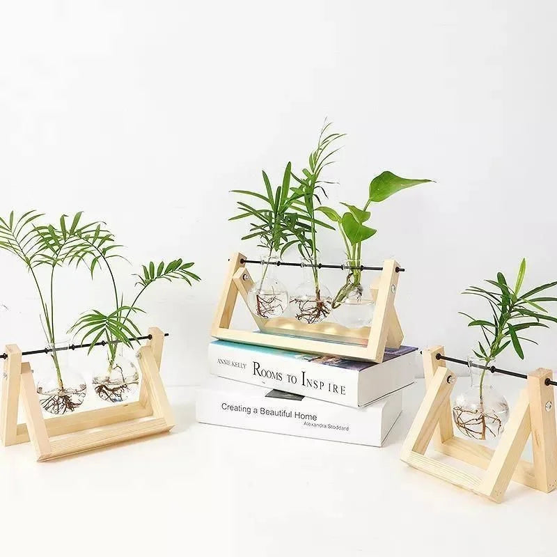 Glas hydroponisk plantevase