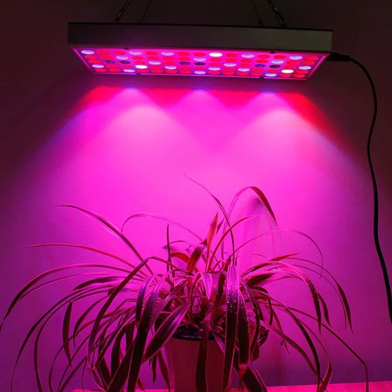 Vækst LED lampe
