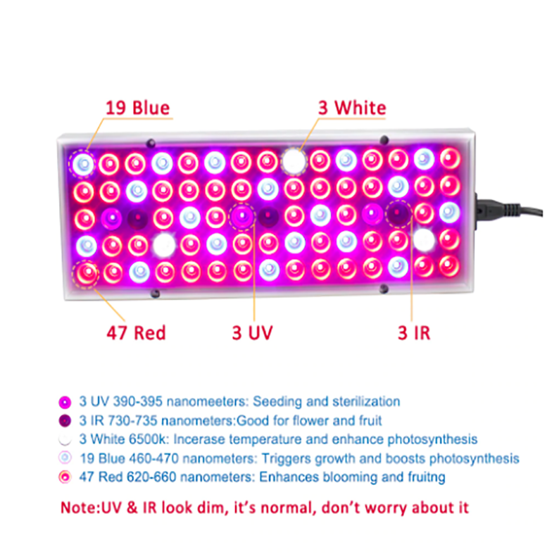 Plantengroeilampen LED groeilamp