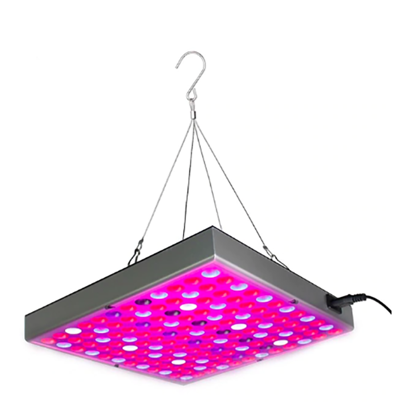 Plantengroeilampen LED groeilamp