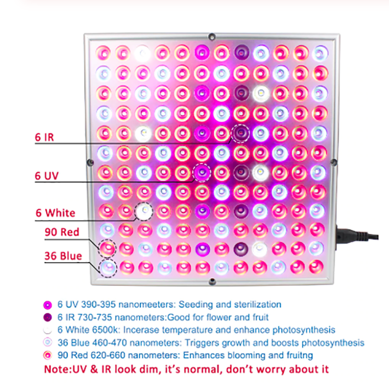Plantengroeilampen LED groeilamp