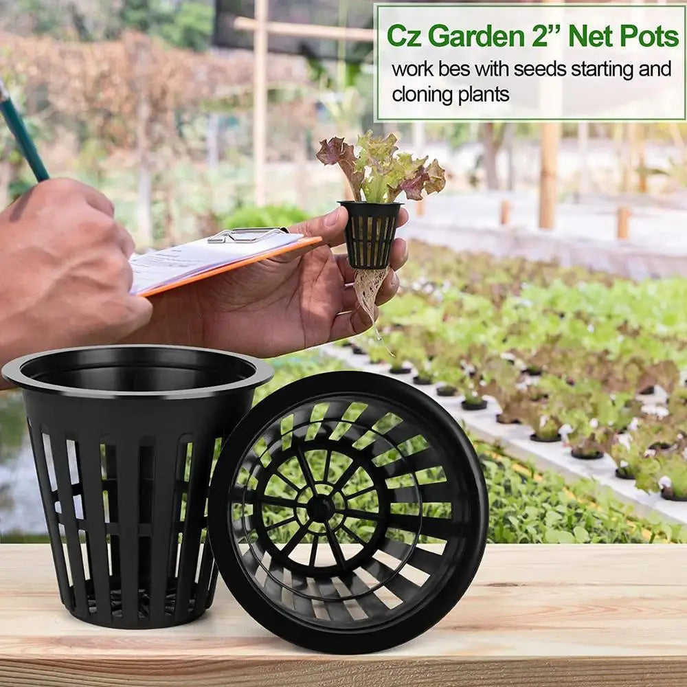 50/100 stuks 2-inch hydroponische netpotten – brede rand met sleuven gaasmanden