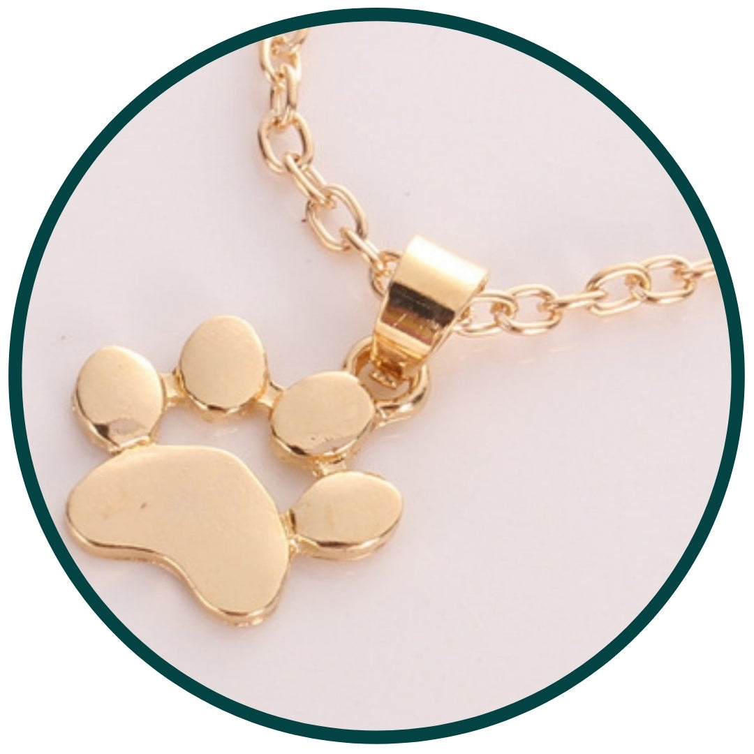 Paw Hanger Ketting