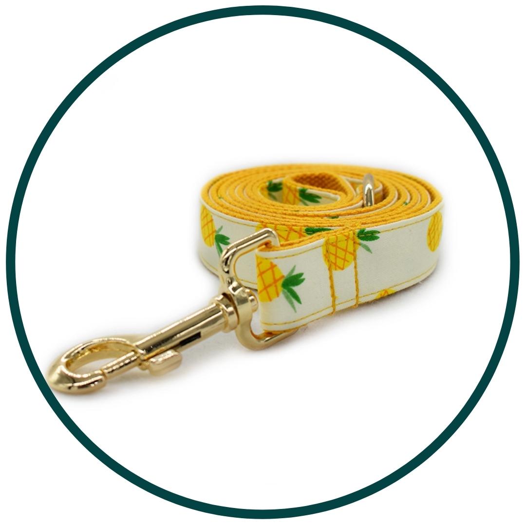 Ananas Halsband en Lijn