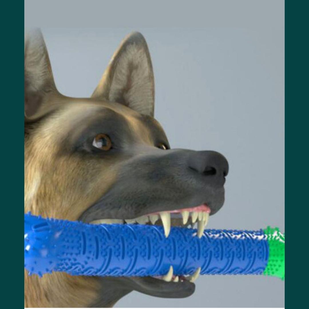 ChewBrush (Honden Tandenborstel)