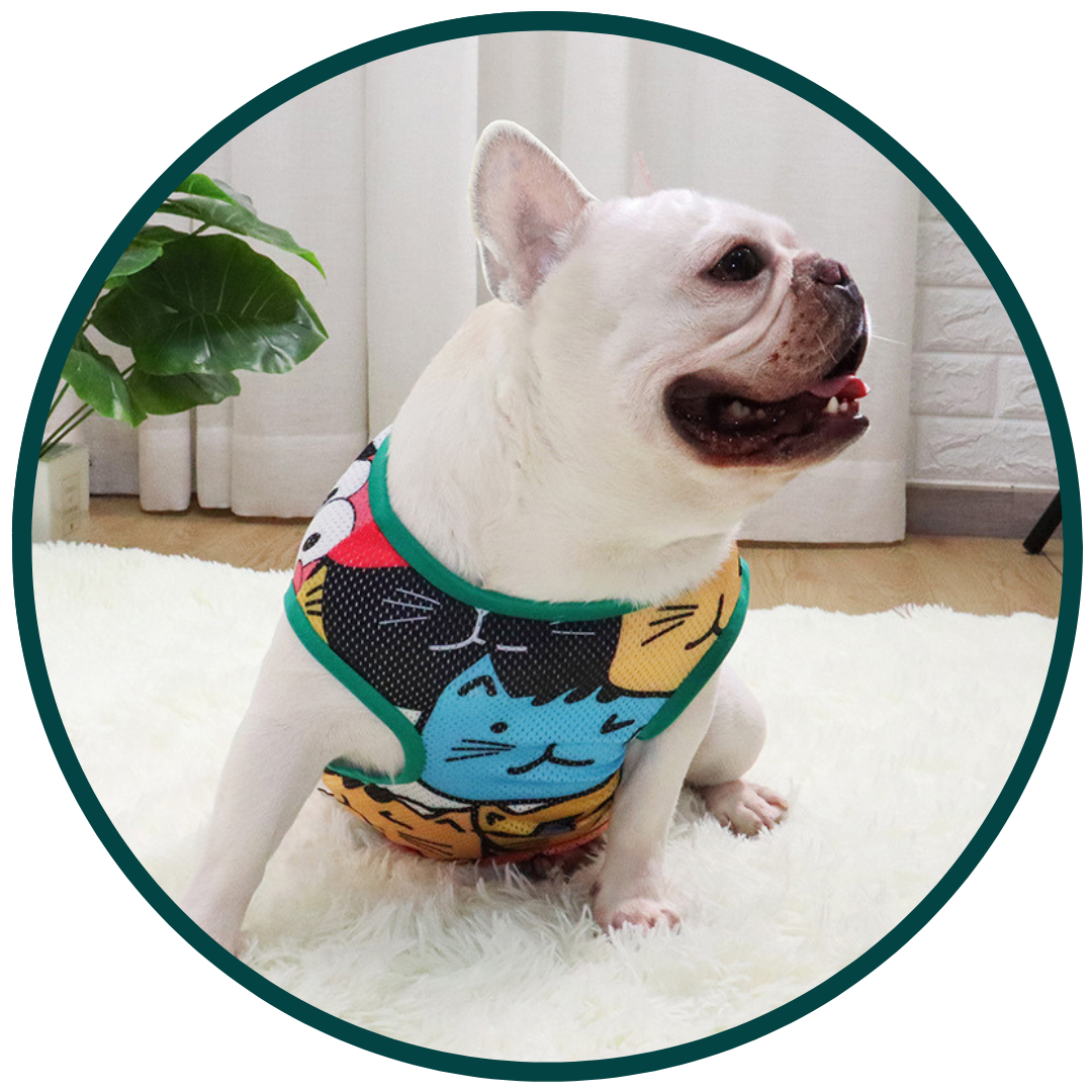 Kattenprint vest