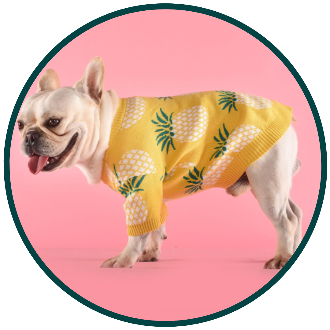 Gul Ananassweater