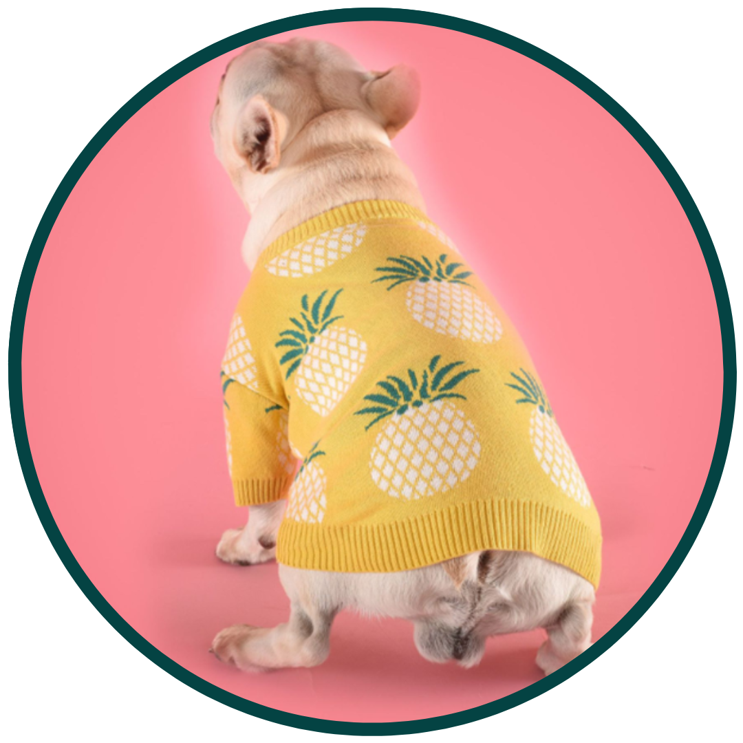 Gul Ananassweater