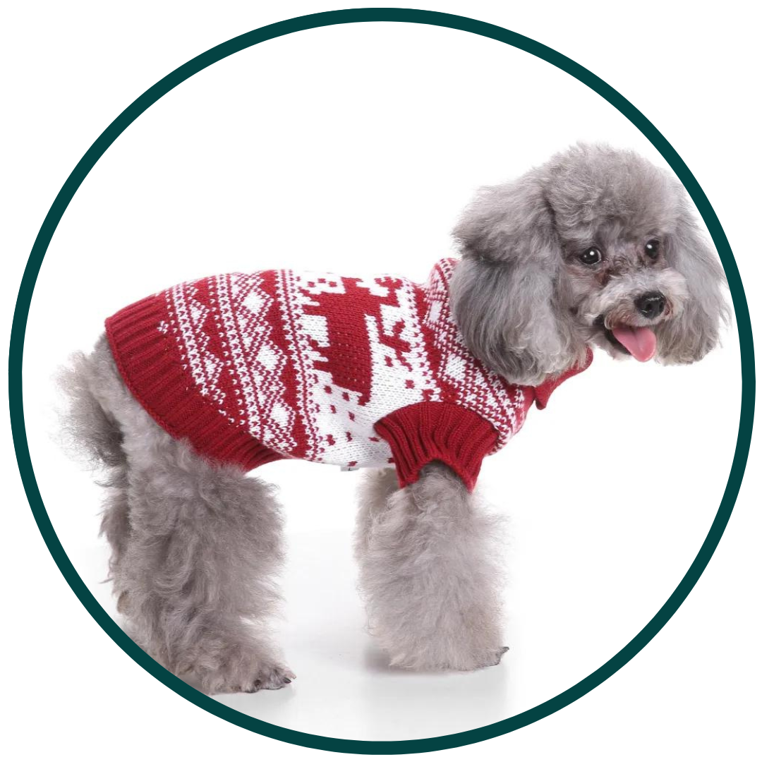 Festive Sweater