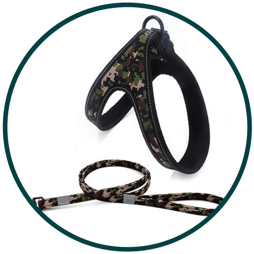 Geleideharnas en riem met patroon