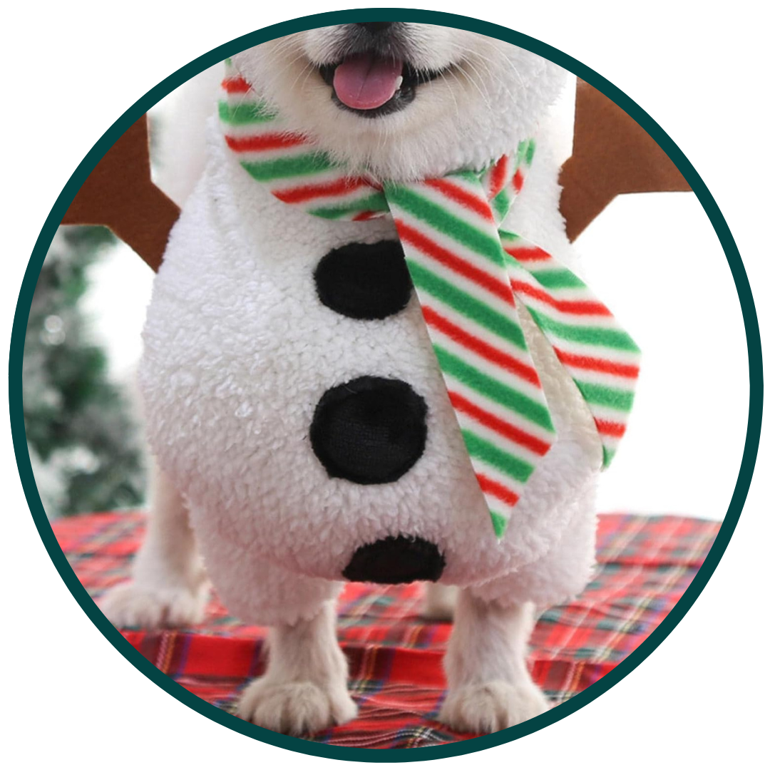 Snowman Clothing
