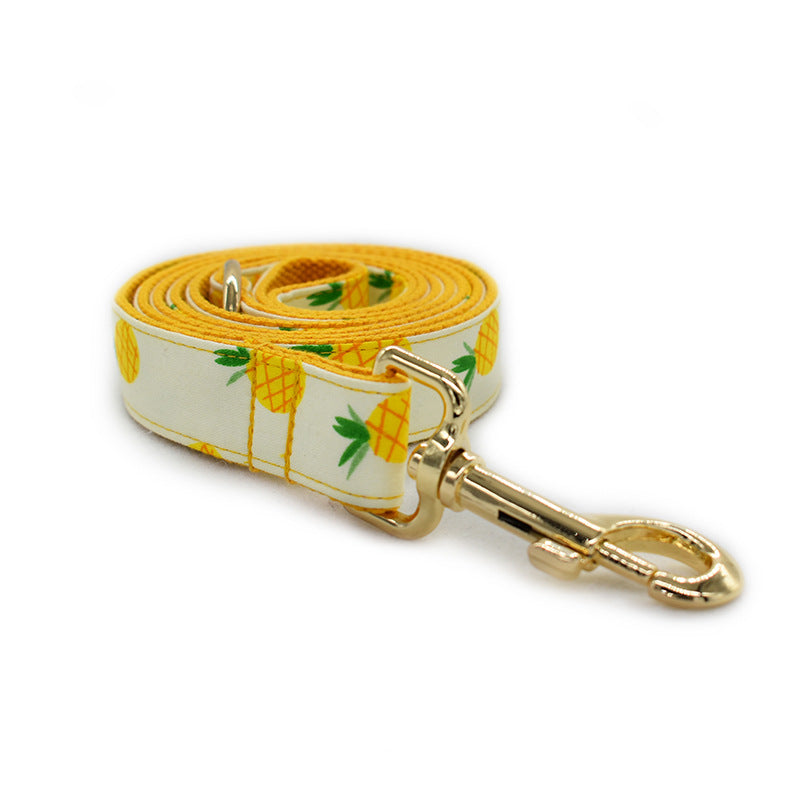 Ananas Halsband en Lijn