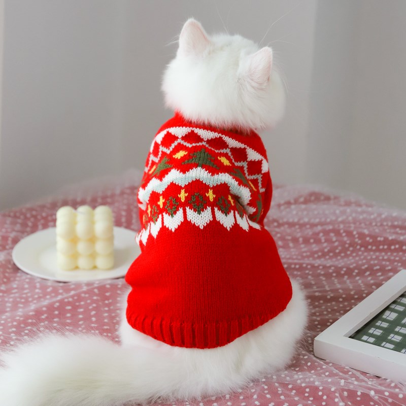 Fall Sweater