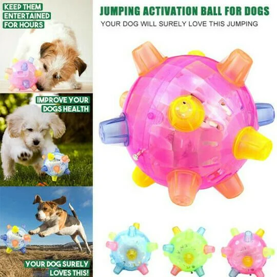 Nieuwe springactivatiebal voor honden