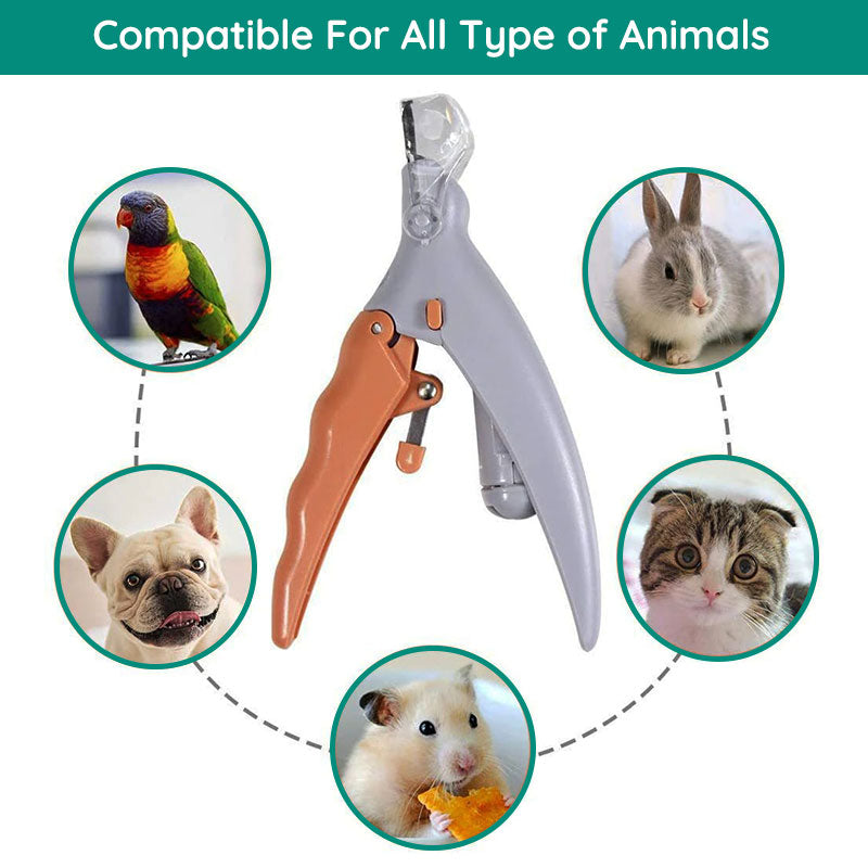 Beste honden nagelknipper met snelle sensoren
