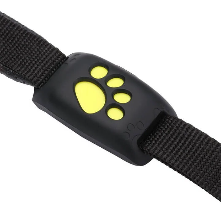 Intelligentes GPS-Tracker-Halsband für Katzen