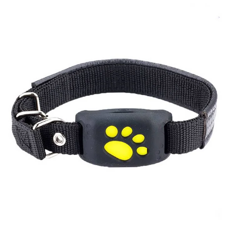Intelligentes GPS-Tracker-Halsband für Katzen